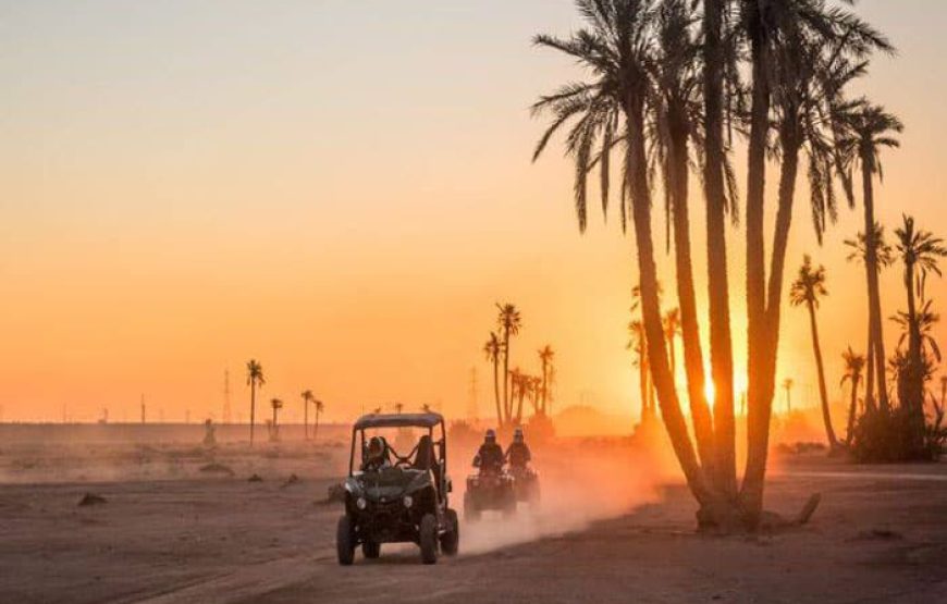 Buggy et dromadaire au coucher du soleil à la Palmeraie de Marrakech