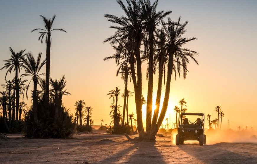 Buggy et dromadaire au coucher du soleil à la Palmeraie de Marrakech